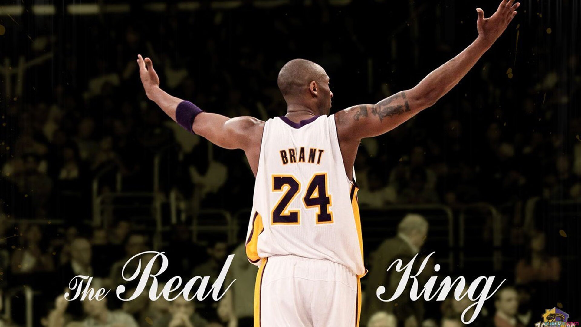 _爵士音律和谐,主场高奏凯歌_,爵士乐即兴演唱